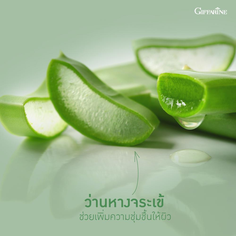 ของใช้ส่วนตัว GIFFARINE ครีมอาบน้ำ อโลเฟรช กิฟฟารีน  ของใช้ส่วนตัว GIFFARINE ครีมอาบน้ำ อโลเฟรช กิฟฟารีน